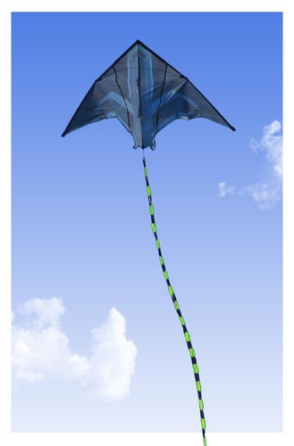 Cometa Delta Yongjian 2m - Cometa grande para acampar playa al aire libre para adultos y niños - Imagen 11 de 24