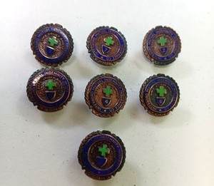 Interboro Mutual Indemnity Insurance Co. Safe Driver Pins - 7 pins