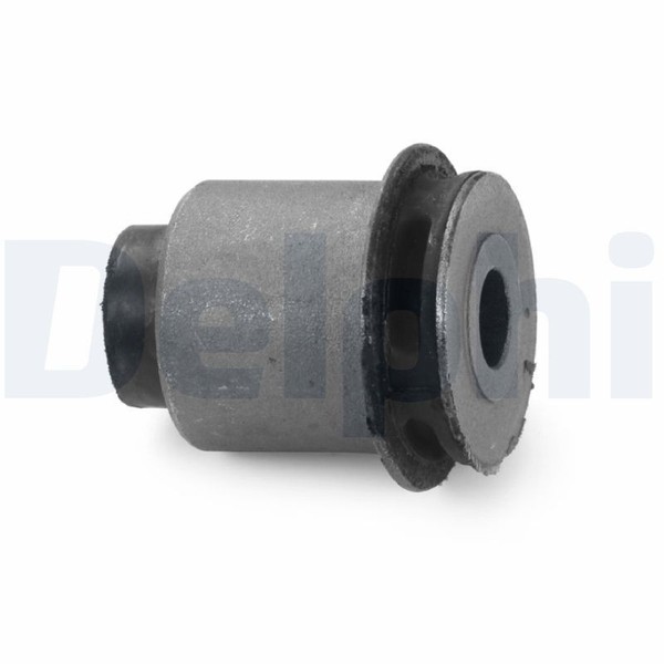 Delphi TD1747W-image