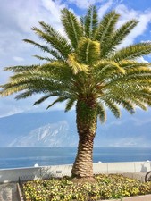 Kurztrip Riva del Garda 99&euro; Check24 199&euro; Anreise Auto teuer Anreise Bahn 14,99&euro;