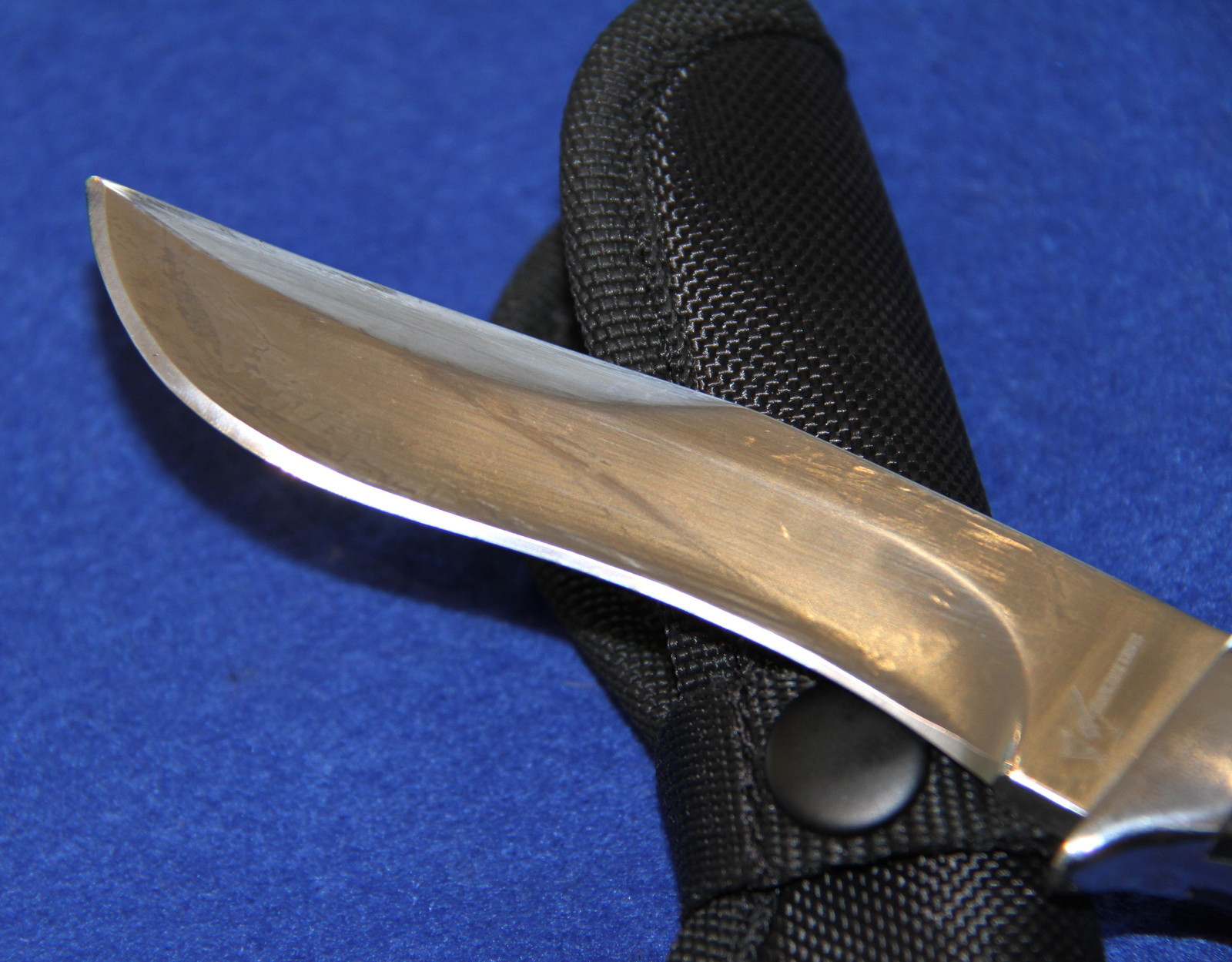 BLACKJACK FIXED BLADE MAMBA HUNTING KNIFE WITH NYLON SHEATH NIB eBay