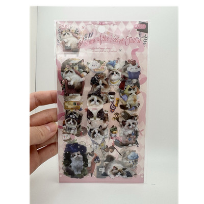 Cute Ragdoll Kitten Stickers 4 Sheets Multicolor Transparent PET Craft Diary Kid