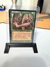 MTG Magic The Gathering - Hermit Druid (T-Chinese) - Stronghold LP