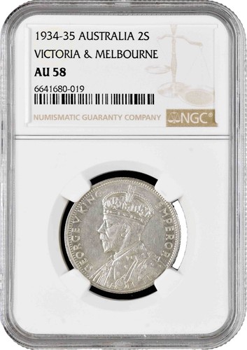 オーストラリア産　タマムシセット2　8-17mm 51eyuYgN3GL._AC_UF350,