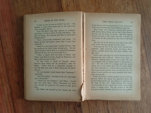 Bred in the Bush - Nat Gould - Everett - Approx 1904-6 Edition - Picture 7 of 7