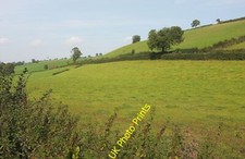Photo 12x8 Drews Field Lane Compton/SX8664 A green lane (not a right of w c2015