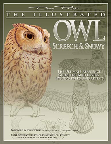 The Illustrated Owl: Screech and Snow..., Rogers, Denny - Picture 1 of 2