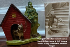 Vintage OLD Boston Terrier in Doghouse and Vintage Picture of Boy & BT in Wagon