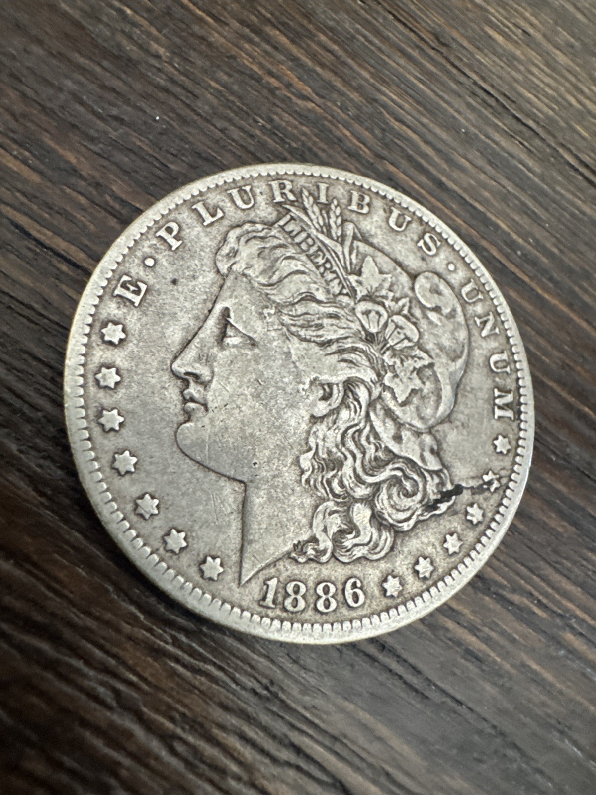 Picture 6 of 16