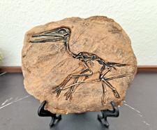 Deko Dinosaurier Fossilien Dekofigur Figuren Skelett Skulptur Statue Geschenk