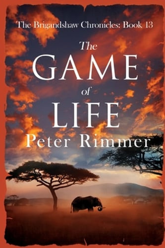 The Game of Life by Peter Rimmer: Used
