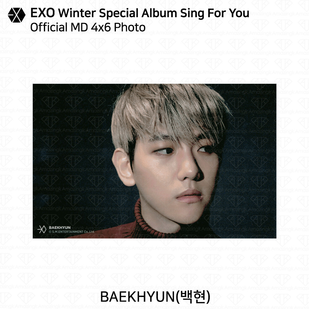 EXO Winter Special Album Sing For You Official MD 4x6 Photo