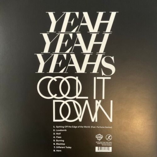YEAH YEAH YEAHS LP Cool It Down RED BLUE Splatter VINYL Sealed MAILS SAME DAY - Picture 3 of 10