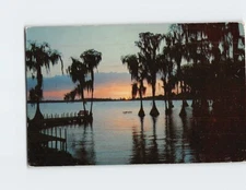 Postcard The Fascinating Silhouettes of Cypress Trees Cypress Gardens Florida