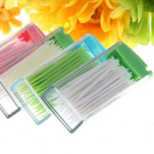 50Pcs Plastic Toothpicks Disposable Dental Picks with Case Oral Care