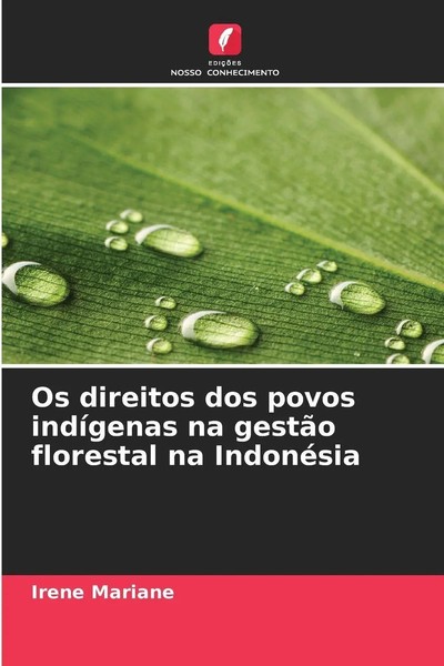 Irene Mariane | Os Direitos Dos Povos IndíGenas Na GestãO Florestal Na IndonéSia-image