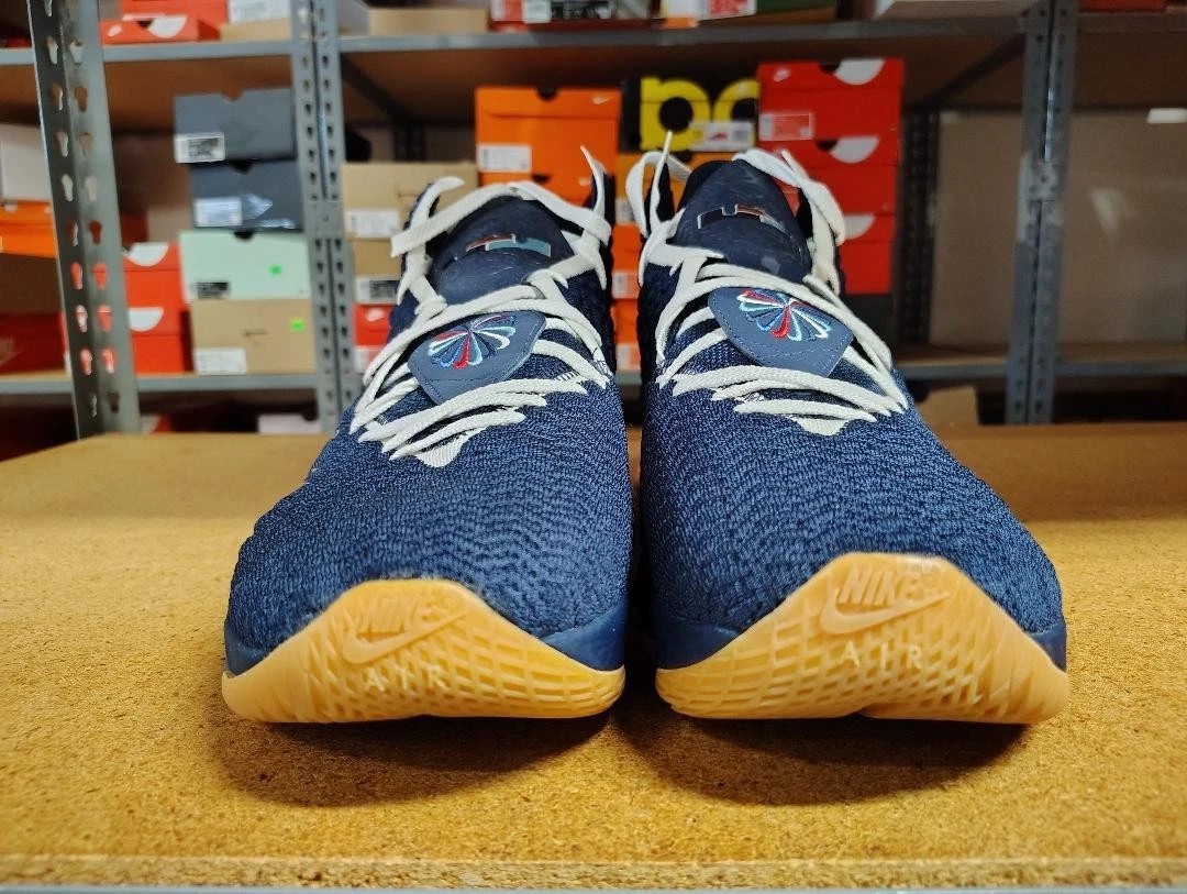 Nike Lebron Xvii for Sale | Authenticity Guaranteed | eBay