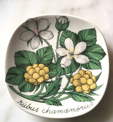 Arabia Finland Esteri Tomula Plate Botanica Moltebeere Rubus Chamaemorus 