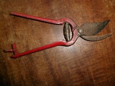 Ancien SECATEUR de Vigneron, à ressort