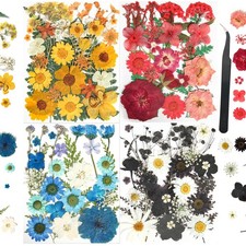 110 PCS Pressed Flowers for Resin molds Real Dried Flower Leaves Jewelry Making