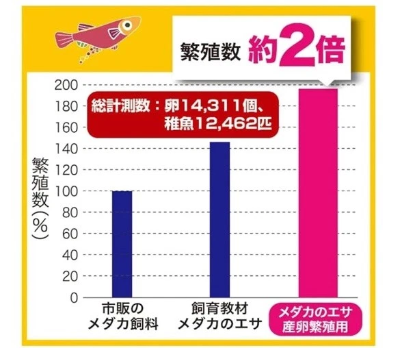 🟡2 juegos Hikari Medaka alimento de temporada de cría Killifish japonés 40 g alimento para peces Kyorin Foto 4 de 4