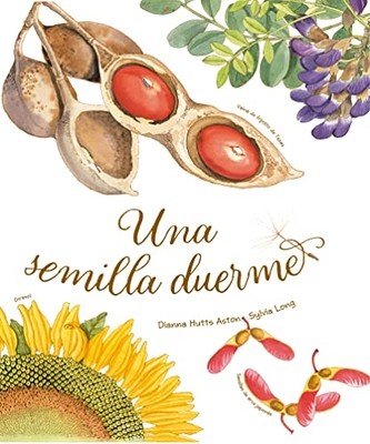 Semilla Duerme - Spanish Language Hardcover NEW Dianna Hutts As 2022