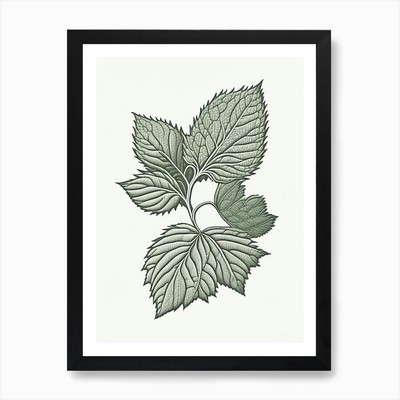 Himbeerblatt Kraut William Morris gerahmtes Wandbild Poster Leinwanddruck Bild