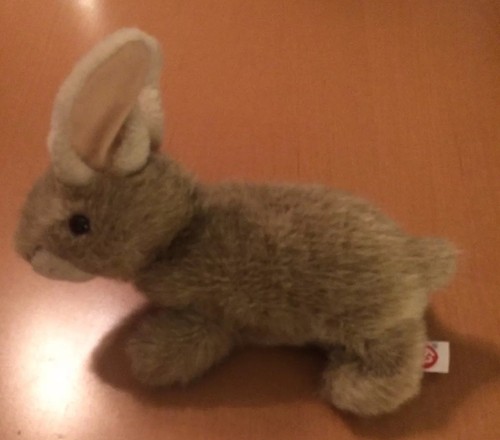 ty brown bunny