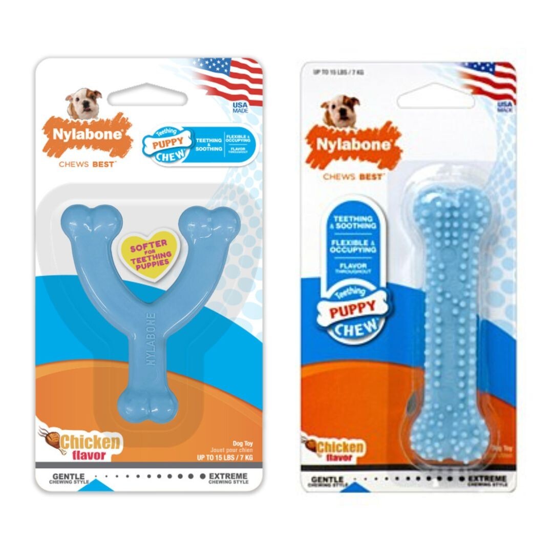 Nylabone Puppy Teething Wishbone & Petite Bone- Blue Combo P