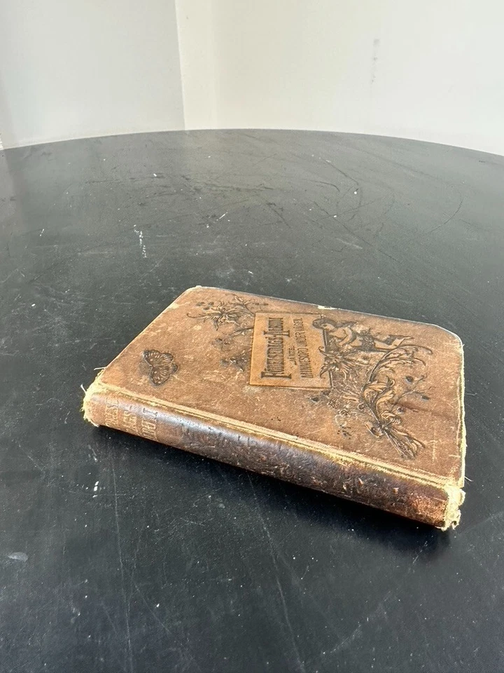 Antique Original 1890 Swedish First Birthday Album FODELSEDAGS Collectible Book - Image 3 of 4