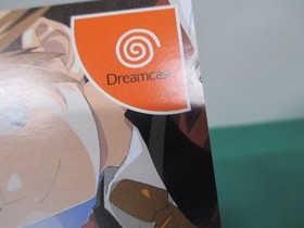 SEGA Dreamcast -- CANARY -- DC. JAPAN. GAME. Work. 34548