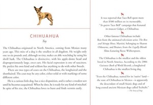 Chihuahua - CUSTOM MATTED Dog Art Print - Breed Description and History