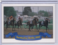 1993 HORSE RACE STAR CARDS KENTUCKY DERBY IDBLUE #118E THE WINNING MOVE