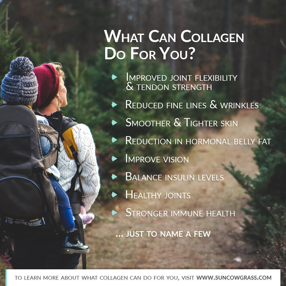 Chicken Bone Broth Collagen Powder - Pure Organic Protein - Free-Range - Image 4 of 4