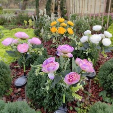Waterproof Solar Garden Lights 7Head Design Camellia Flower Light  Outdoor Use