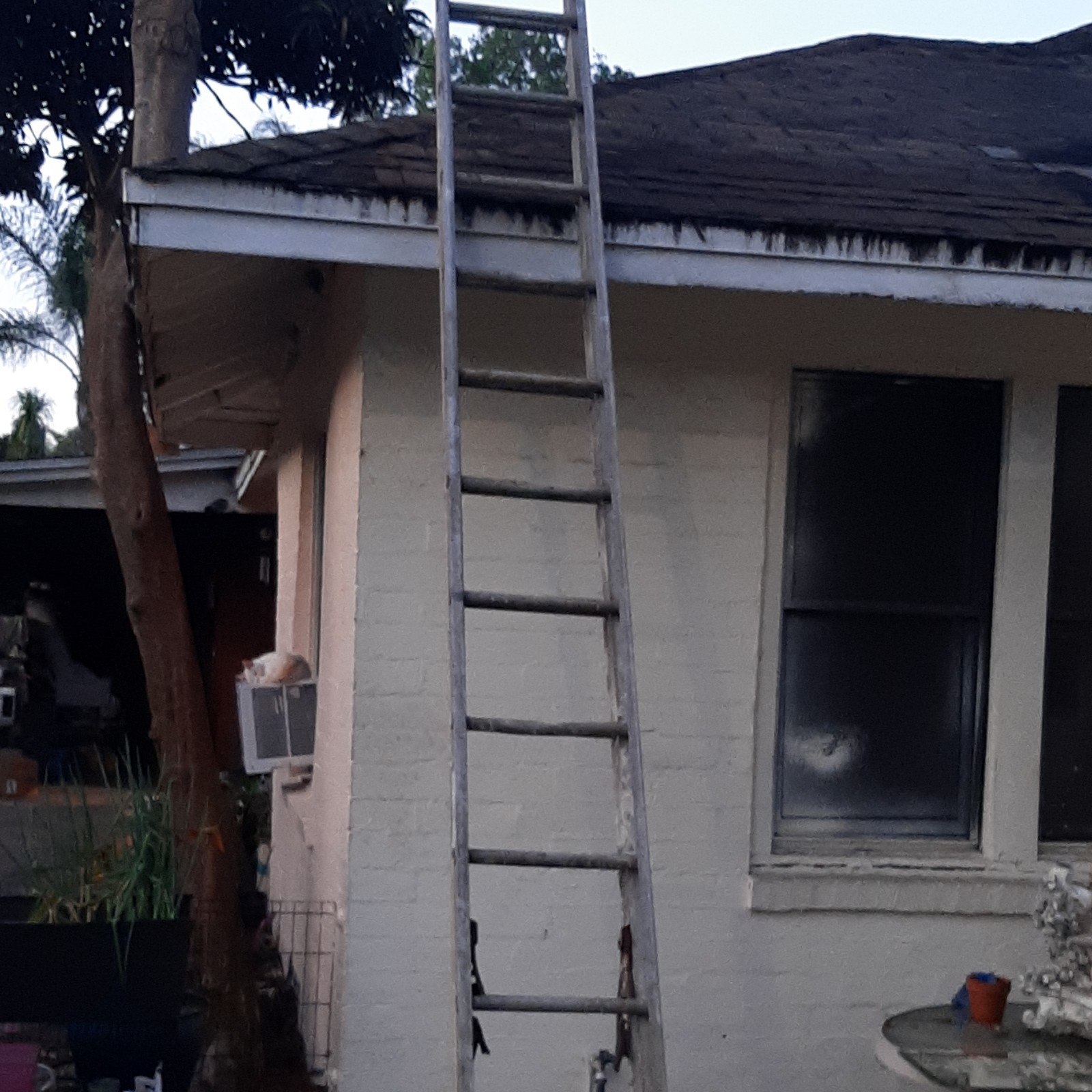 40' Aluminum Werner Extension Ladder