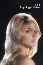 Sharon Tate 💙 4x6 Publicity Photo Vintage Film Memorabilia