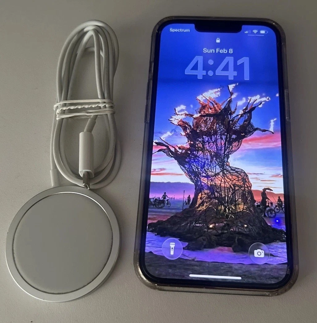 Apple iPhone 13 Pro Max 1TB for Sale | Shop New & Used Cell Phones