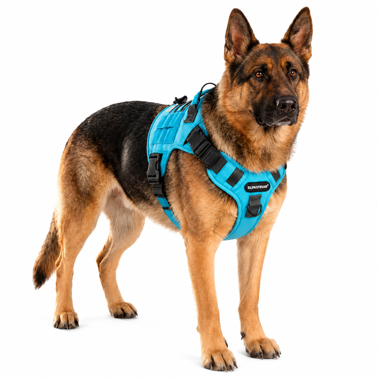 Taktisches Hundegeschirr mit Griff – Robust & verstellbar für große Hunde