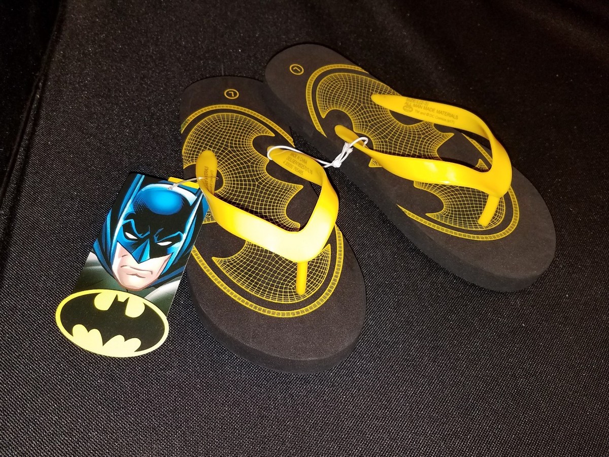 NWT~ TM and DC Comics ~YTH Boy LG 2/3~ 