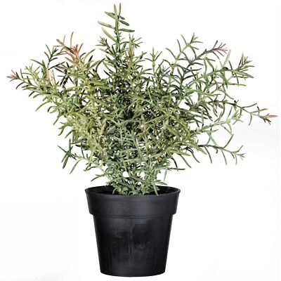 Ramo di rosmarino artificiale DAREN, verde, 60cm