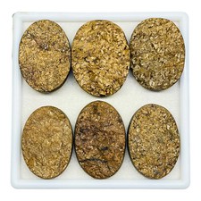 6 Pcs Natural Brown Bronzite Druzy Cut Lot 35-39mm Loose Untreated Gemstones