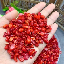 US 50g OZ LB Apatite Crystal Stone Natural Rough Mineral Specimen Random