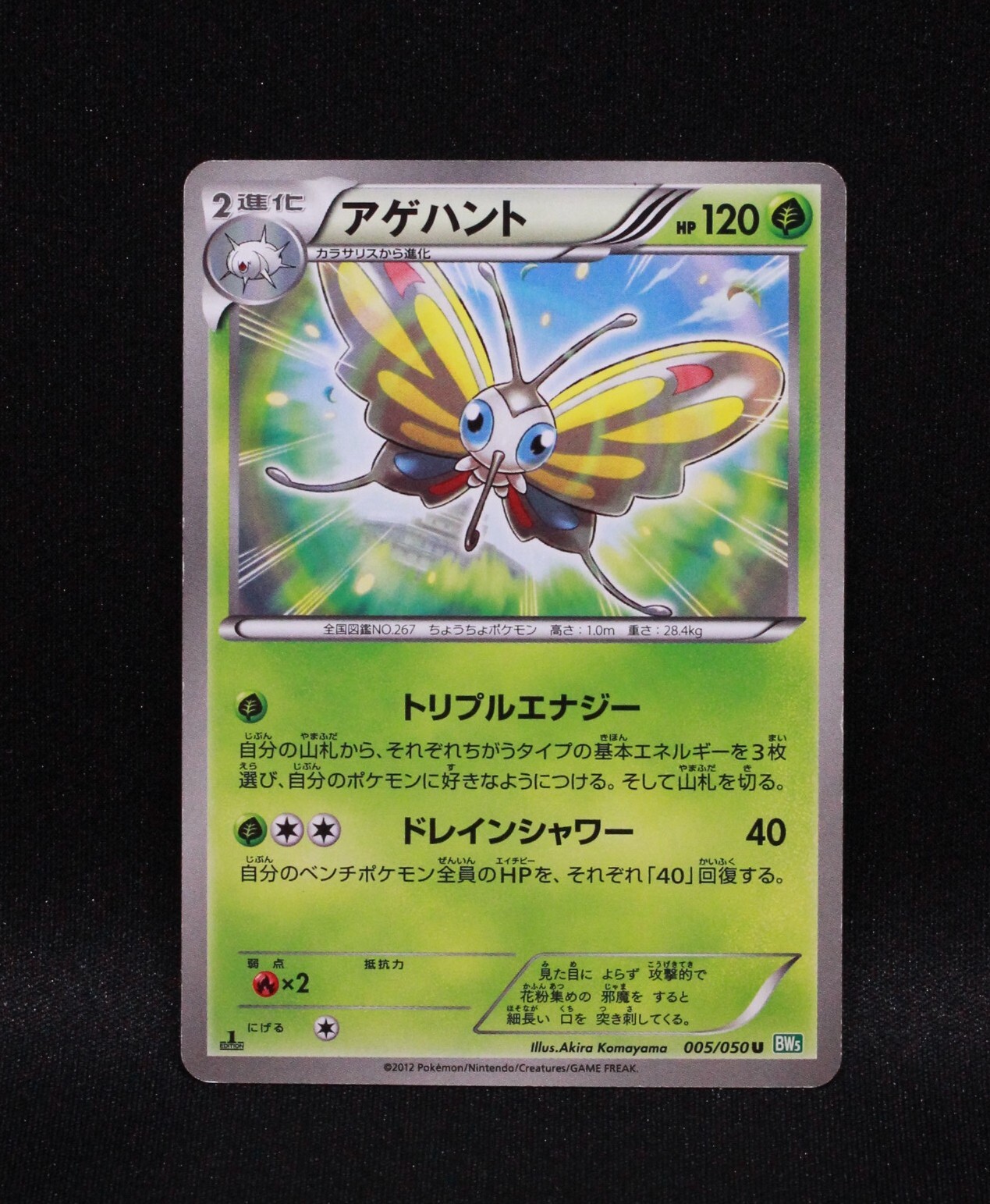 Beautifly 005/050 - Dragon Blast BW5 - 2012 Japanese Pokemon - MP