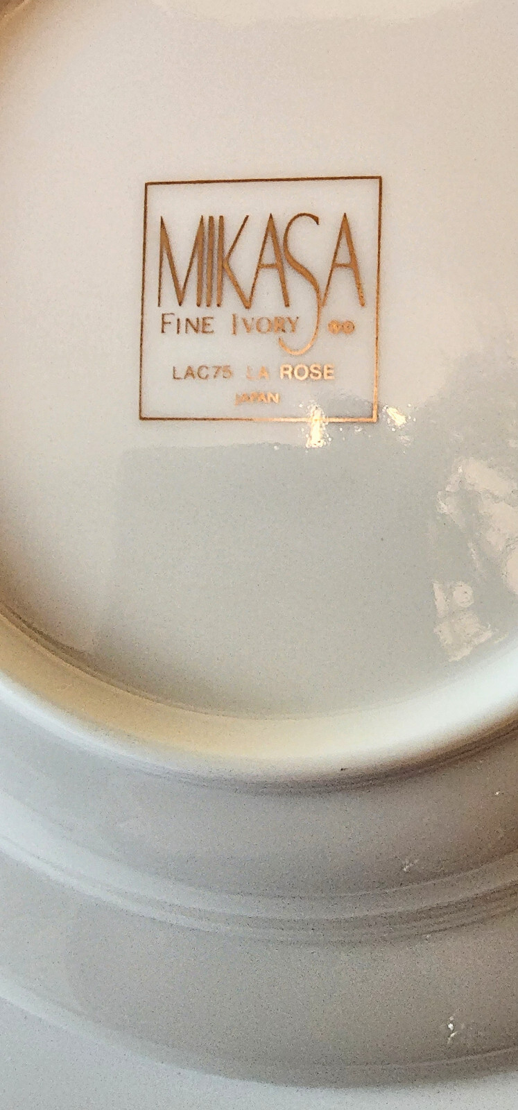 Mikasa 2 Piece Place Settings La Rose Soup & Salad Fine Ivory Porcelain