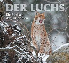Der Luchs: Die Rückkehr der Pinselohren von ...
