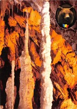 US4340 Romania Formatiuni Calcaroase, Pestera Ursilor CHiscau Jud Bihor  speolog