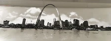 St Louis Skyline Poster Silver Metallic Panoramic 8”x 40” Arch Admiral
