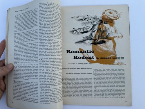 Field & Stream Magazine December 1962 Bing Crosby Christmas Pheasants - Picture 8 of 9