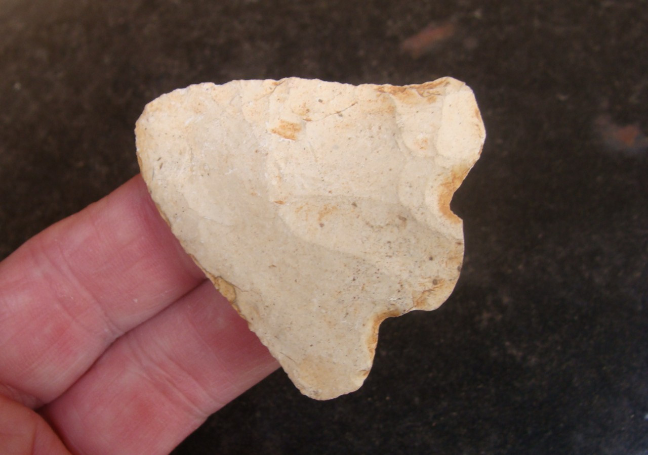 Super Thin 2 1/8" ABBIE Georgia Florida Arrowhead ~29~